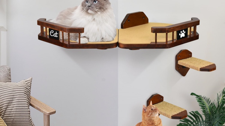 best cat shelves 1
